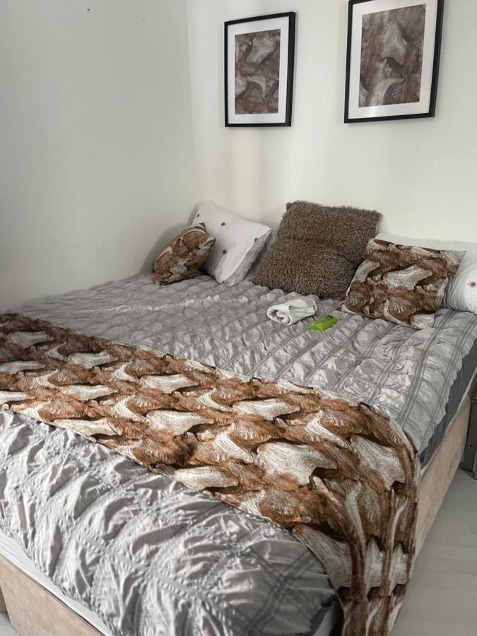 Spacious One Bedroom Ft In Central London King'S Cross Bagian luar foto